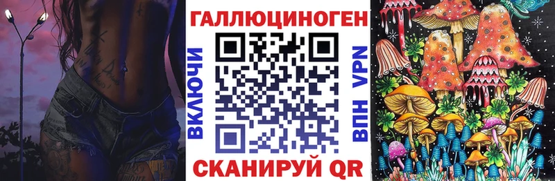 Галлюциногенные грибы Psilocybine cubensis  Купить  Краснознаменск 